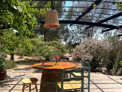 a table and chairs in a garden with a light at Cabañas Claudia in Valle de Guadalupe