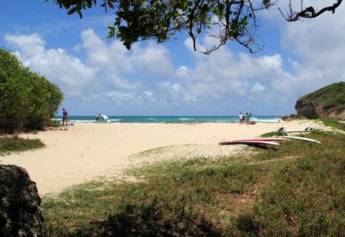 Naturlandskabet i nærheden af feriehuset