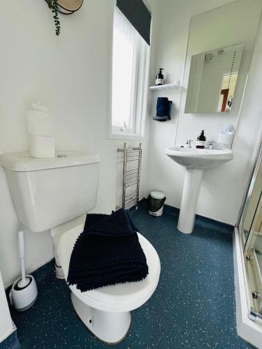 a bathroom with a white toilet and a sink at Tigh Na Mara in Dunoon