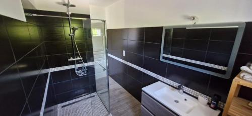 a bathroom with a glass shower and a sink at Appartement Aubres in Aubres