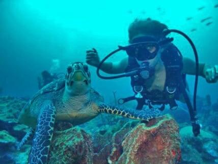 a man in a diving suit standing next to a sea turtle at Les hauts de bellevue in Bouillante