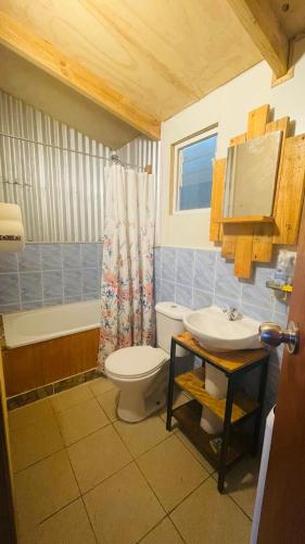 een badkamer met toilet en wastafel bij Cabañas Cordillera in Puerto Cisnes