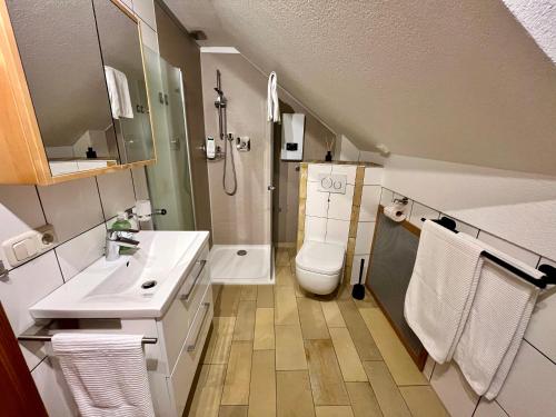 a bathroom with a toilet and a sink and a shower at Free living in Freistadt