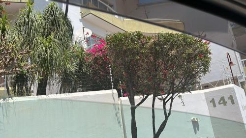 a reflection of a tree in a swimming pool at 270 Degree City View Serenity in Windhoek