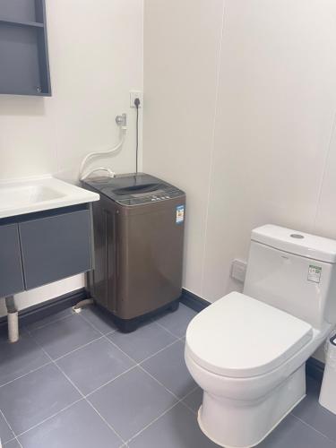 a bathroom with a toilet and a sink at lake view apartment 湖畔别墅 in Montmartre