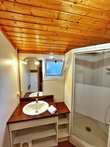 a bathroom with a sink and a shower at Cottages du Lac de Miel in Beynat