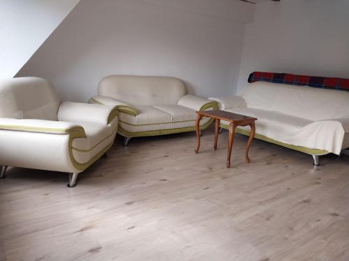 a living room with two couches and a table at Waldblick in Hirschhorn in Hirschhorn