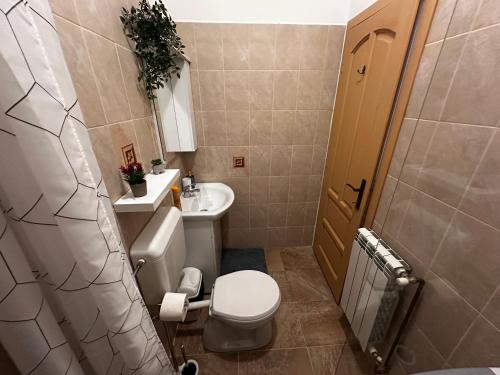 a small bathroom with a toilet and a sink at Tobacco Sforii Residence in Braşov