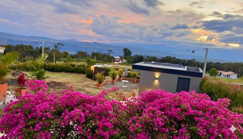 a garden with pink flowers in front of a building at LUZ DE LUNA mesa de los santos house in Los Santos