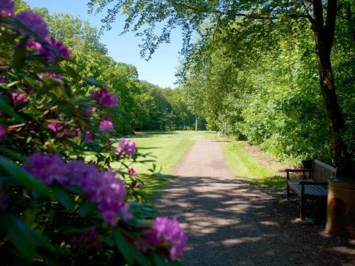 a path with a bench and purple flowers and trees at Panoramic Retreat in Andkaer Vig - By Traum Ferienwohnungen in Børkop
