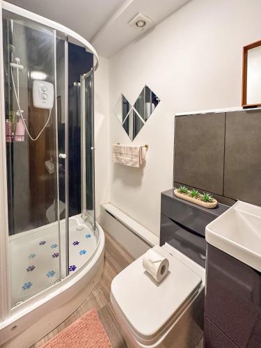 a bathroom with a shower and a toilet and a sink at Spacious 1 Bedroom City Center Flat in Derby in Derby