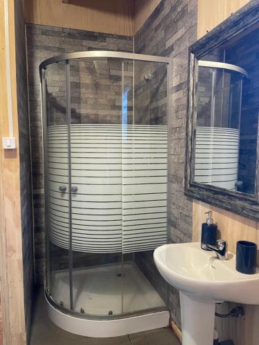 a bathroom with a shower and a sink at El Tilo Cabin - Hot Tub & Lake Ranco Views in Lago Ranco