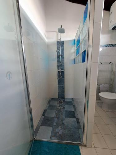 a bathroom with a shower and a toilet at Kaz'Agatha in Sainte-Anne