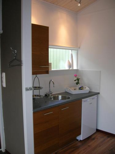 a small kitchen with a sink and a window at Appels en Peren Bed and Breakfast in Breezand