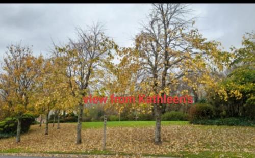 Zahrada ubytování Kathleen Apartment