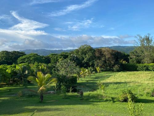 a lush green field with trees in the distance at La Casita at Ankobra Farm 