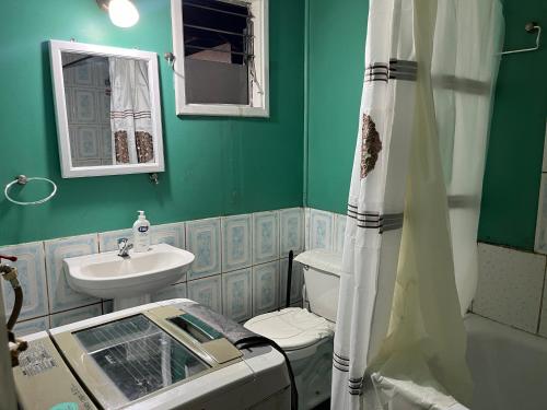 a green bathroom with a sink and a toilet at Departamento interior con entrada independiente in Castro
