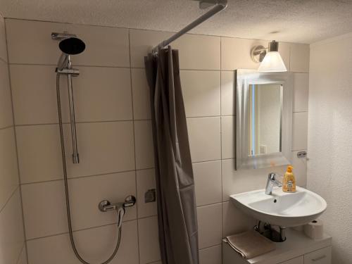 une salle de bain avec douche et lavabo dans l'établissement Ferienwohnung Lappano - Losheim am See, à Bachem