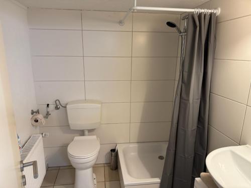 une salle de bain avec toilettes, lavabo et douche dans l'établissement Ferienwohnung Lappano - Losheim am See, à Bachem