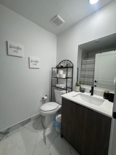 a bathroom with a toilet and a sink and a mirror at Modern room with kitchen and backyard access in Homestead