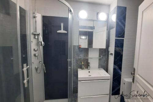 a bathroom with a shower and a white sink at Entre la mer et la montagne in Grabels