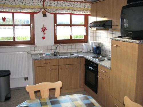 een keuken met houten kasten, een wastafel en een tv bij Kösseineblick in Pullenreuth