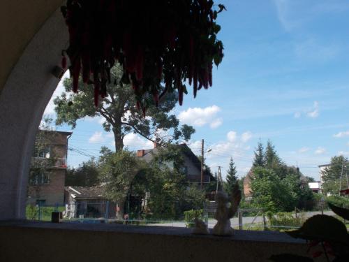 Κήπος έξω από το Apartamenty Nad Wisłą