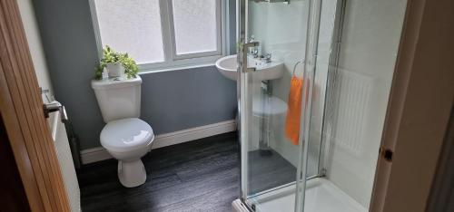a bathroom with a toilet and a sink and a shower at Annest in Bangor