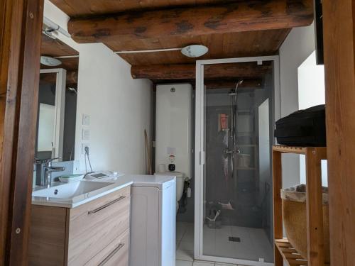 a bathroom with a sink and a shower at Gîte rénové pour 4 pers. avec accueil équin, Saint-Front - FR-1-582-538 in Moudeyres