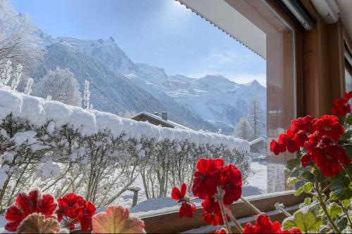 Bright apartment - near Mont Blanc