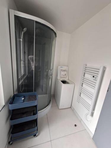 a small bathroom with a shower and a sink at appartement calme et climatisé Chamaillard 2 in L'Ile-Bouchard