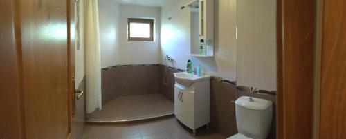 a bathroom with a shower and a toilet and a sink at Guesthouse Sekvoia in Smolyan