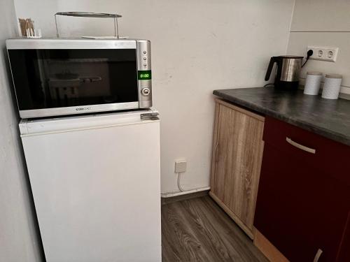 un forno a microonde in cima a un frigorifero in una cucina di Charming apartment with a view a Wolfsburg