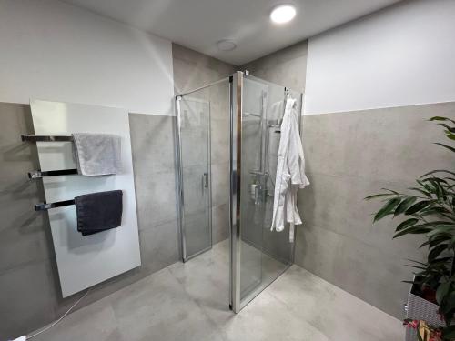 una ducha con puerta de cristal en un baño en Rosis Appartement, en Wiener Neustadt
