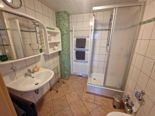 a bathroom with a sink and a shower at 1 Zimmer Apartment zentral zur Kurklinik in Bad Oeynhausen