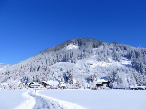 a snow covered mountain with a village in the distance at Haus Zedlacher in Patergassen