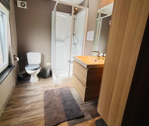 a bathroom with a toilet and a sink and a shower at Le gîte du faubourg in Sautour