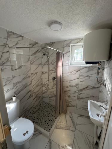 a bathroom with a shower and a toilet and a sink at Dardania Hostel in Peje