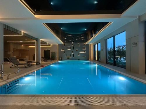 Blue Holiday Anchoria Mechelinki