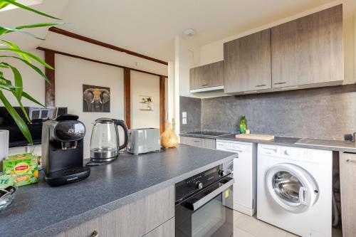 a kitchen with a washer and dryer on a counter at Charmant appart près Europa-Park Rulantica 30 min in Erstein