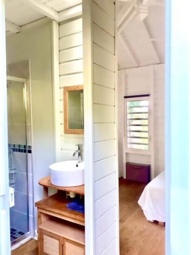 a bathroom with a sink and a mirror at Bungalow vue mer - Deshaies in Deshaies