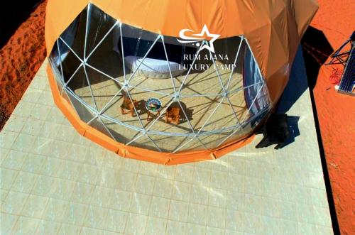 a cage with two dogs inside of it at WADI RUM ATANO lUXURY CAMP in Wadi Rum