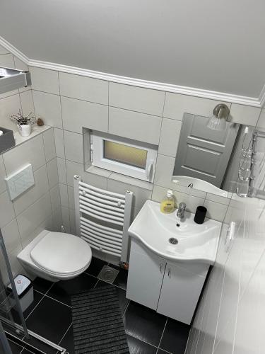 a bathroom with a white toilet and a sink at Apartmani Rajić, Tara in Kaludjerske Bare