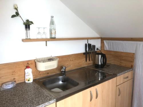 a kitchen with a sink and a counter top at Pod-Inn 坡顶公寓-文化谷仓 in Kuppenheim