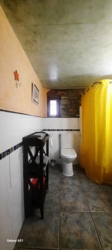 a bathroom with a toilet and a yellow curtain at Apartamentos La Borda Castillon in Tierrantona