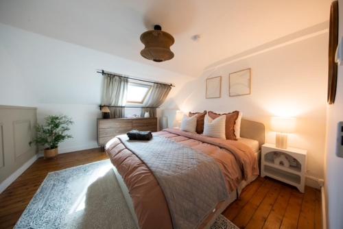 Comfort and Video Projector Close to Downtown