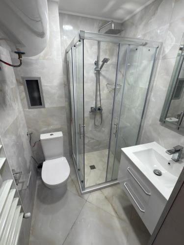 a bathroom with a shower and a toilet and a sink at Apartment 9 in Pamporovo