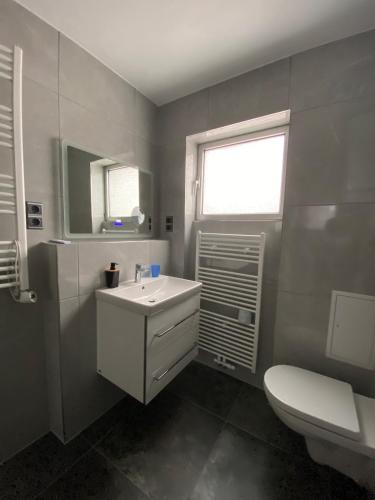 a bathroom with a sink and a toilet and a window at Modernes 1-Zimmer Apartment mit Küche und Bad in Merzig