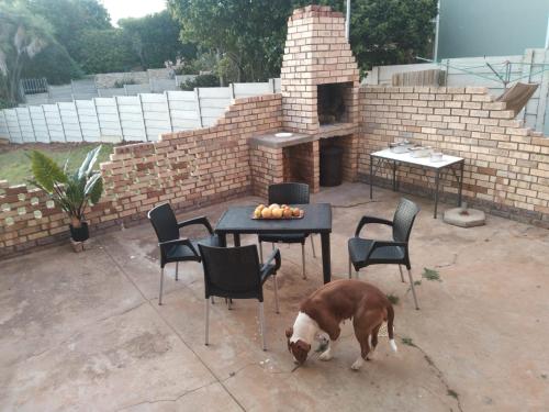 a brown and white dog standing next to a table and chairs at BushWave in Jeffreys Bay