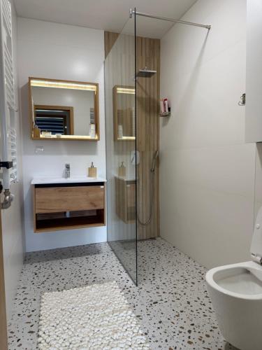 别拉什尼察Apartman Asi的带淋浴、水槽和马桶的浴室